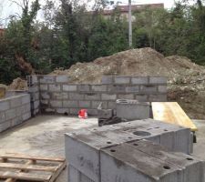 Mur pi&egrave;ce de vie