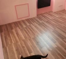 2eme chambre,paquet et radiateur posé, a peu près 15m2 et toujours minie