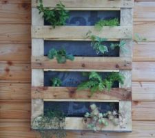 Petit mur vegetal a base de palette