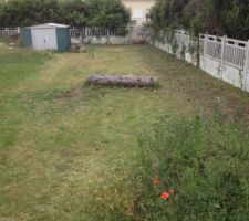 Voilà le résultat après 2 heure de travail pour tondre la pelouse et debrouissaller les hautes herbes,
Ça faisait depuis novembre 2013 que ça n'avait pas été fait