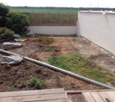 Emplacement de l'ancien verger qui sera réhabilité en jardin japonais