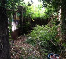 Un terrain a nettoyer, en attendant le permis de construire