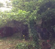 Le bornage a &eacute;t&eacute; fait... tout va bien... les voisins tres sympa...