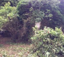 La maison a peine visible....