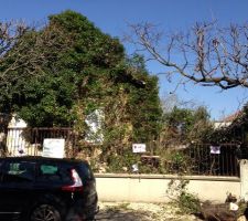 Les artisans on bien travaill&eacute;... &agrave; un prix raisonnable, 12 devis qui allaient du simple au triple ,moins de 1000 &agrave; 3400?.....pfittttt