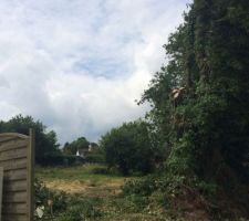 Entr&eacute;e du terrain