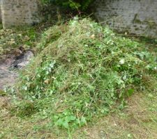 Ronce, horti, et autres herbes, du boulot accompli.