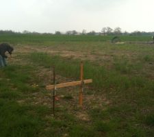 Implantation des chaises