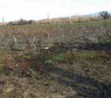 Notre futur chez nous