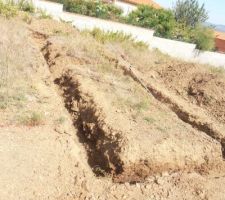 Les premiers cout de pelles