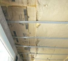 Isolant sous plafond. Pare vapeur d&eacute;chir&eacute;