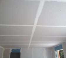 Plafond salon
