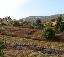 Notre terrain vue d en face c'est toute l&agrave; o&ugrave; l'herbe n'est pas tondu.