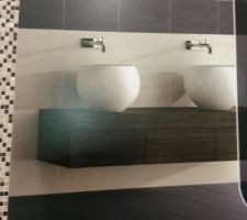 Carreau choisi pour la sdb sol anthracite et fayence y a un anthracite / beige et un plus blanc je pense qu on va juste coupe avec anthracite et beige on est pas encore arrêter pour le carreau plus clair on verra a la commande et une fois le sol poser la c est pas évident de ce projet avec 2 carreau sur un mur de présentation .