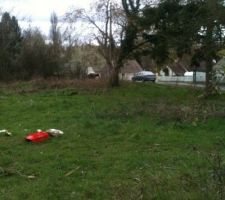 Le terrain photographie il y a quelques semaines,  les herbes sont beaucoup plus hautes.