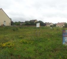 Le terrain avant le d&eacute;broussaillage d'aujourd'huit