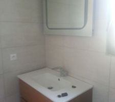 Salle d'eau suite parentale