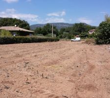 Petit nettoyage du terrain avec mon gros joujou...