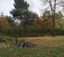 Vue Terrain avant fondation