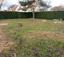 Vue Terrain avant fondation