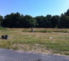 Depuis notre passage chez la notaire, je vois sur cette photo le champ de tous les possibles quand vous ne voyez qu'un bout de terrain &agrave; moiti&eacute; d&eacute;broussaill&eacute; (je suppose que c'est normal !!)