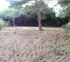 Fond Jardin