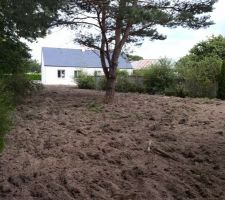 Fond Jardin