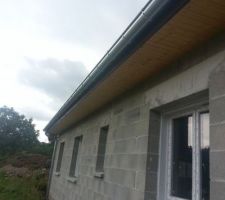 Toiture fini zinguerie sur planche de rive faite