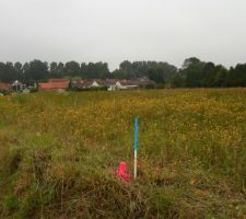 Début du bornage