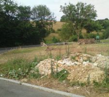 Terrain défriché, débroussaillé