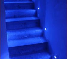 LED Bleue