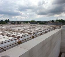 Mise en place du treillis soud&eacute;...