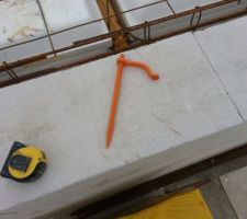 Chevillette de chez Leroy...