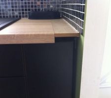 Plan de travail trop court sur la cuisine ( nous avons installer une petite planche pour comblée)ainsi que le fileur 
mais au prix de la cuisine on estime avoir les bons plan