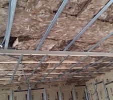 Isolation des faux plafonds en laine d'Ecose