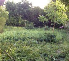 Le petit terrain de 260m2 est l'ancien jardin d'une maison des ann&eacute;es 1950.