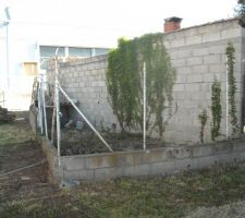 Ancien chenil voué à la destruction