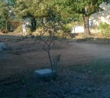Implantation de la maison