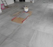 Carrelage sejour