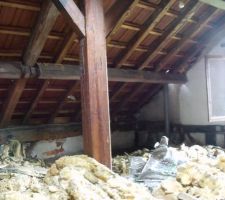 Nous commençons par retirer toute l'isolation actuelle . ainsi que les planches de contreplaqués clouées au toit.