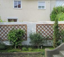 La cour avec les deux treillis fixés