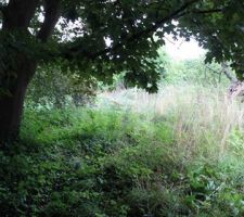 Terrain, &agrave; l'origine