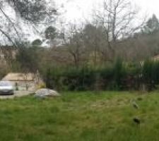 Terrain( d&eacute;limit&eacute; en rouge)