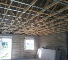 Suspsentes pour le plafond