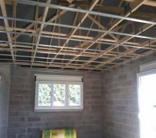 Suspsentes pour le plafond