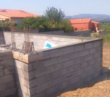 J 2 ils avancent à une vitesse phénoménale en plus le travail est très bien fait j'en suis très satisfait