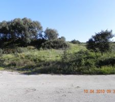 Vue d'en bas n&deg;1