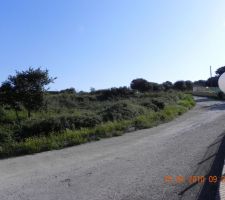 Vue d'en bas n&deg;2