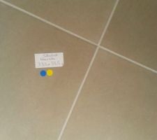 Carrelage sol salle de bain
