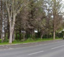 Le terrain avant travaux